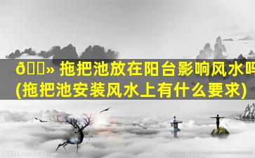 🌻 拖把池放在阳台影响风水吗(拖把池安装风水上有什么要求)